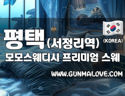 평택 서정리역 [모모스웨디시] 이미지