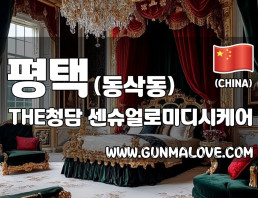 평택 동삭동 [더청담] 이미지