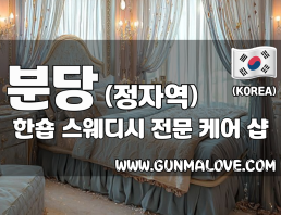 분당 정자역 [한숍] 이미지