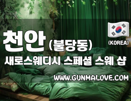 천안 불당동 [새로스웨디시] 이미지