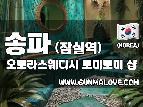 송파 잠실역 [오로라스웨디시] 이미지