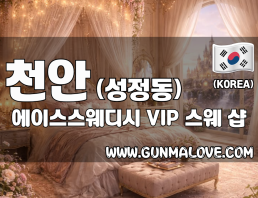 천안 성정동 [에이스스웨디시] 이미지