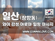 일산 장항동 [와이] 이미지