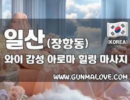 일산 장항동 [와이] 이미지