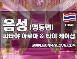 충북혁신도시 음성 [파타야] 이미지