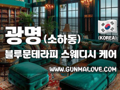 광명 소하동 [블루문테라피] 이미지