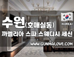 수원 호매실동 [까멜리아] 이미지