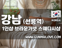 강남 선릉역 1인샵 [브라운가넷] 이미지