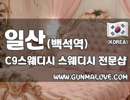 일산 백석역 [씨나인스웨디시] 이미지