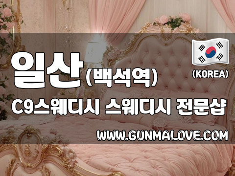 일산 백석역 [씨나인스웨디시] 이미지