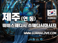 제주 연동 [비비스웨디시] 이미지