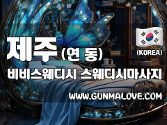 제주 연동 [비비스웨디시] 이미지