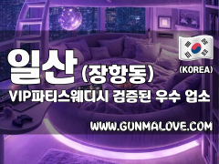 일산 장항동 [VIP파티스웨디시] 이미지
