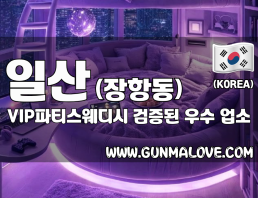 일산 장항동 [VIP파티스웨디시] 이미지