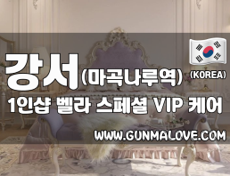 강서 마곡동 1인샵 [벨라] 
