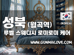 성북 월곡역 [루벨] 이미지