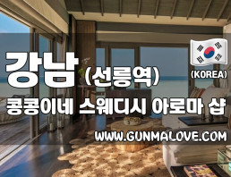 강남 선릉역 [콩콩이네] 이미지