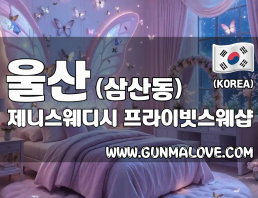 울산 삼산동 [제니스웨디시] 이미지