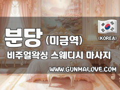분당 미금역 [비주얼왁싱] 이미지