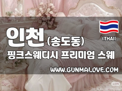 인천 송도동 [핑크스웨디시] 이미지