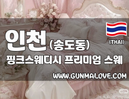 인천 송도동 [핑크스웨디시] 이미지