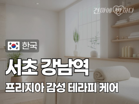 서초 강남역 [프리지아] 이미지