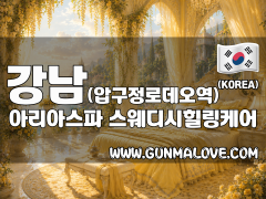 강남 압구정로데오역 [아리아스파] 이미지