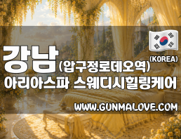 강남 압구정로데오역 [아리아스파] 이미지