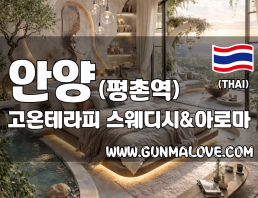 안양 평촌역 [고온테라피] 이미지