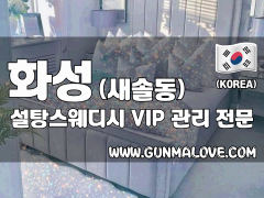 화성 새솔동 [설탕스웨디시] 이미지