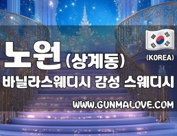 노원구 수락산역 [바닐라스웨디시] 이미지