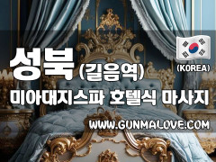 성북 길음역 [미아대지스파] 이미지