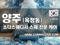 양주 옥정동 [소다스웨디시] 이미지