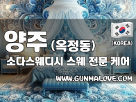 양주 옥정동 [소다스웨디시] 이미지