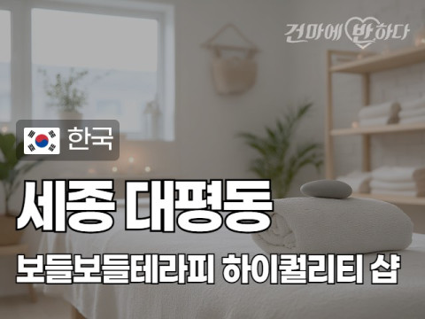 세종 대평동 [보들보들테라피] 이미지