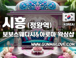시흥 정왕역 [보보스웨디시앤아로마] 이미지