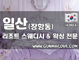 일산 장항동 [리조트] 이미지