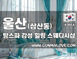 울산 삼산동 [탕스파] 이미지