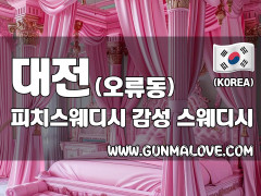 대전 오류동 [피치스웨디시] 이미지