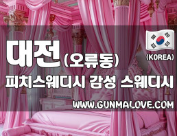 대전 오류동 [피치스웨디시] 이미지