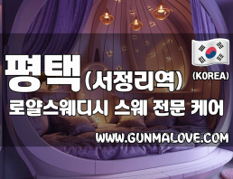 평택 서정리역 [로얄스웨디시] 이미지