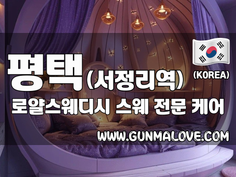 평택 서정리역 [로얄스웨디시] 이미지