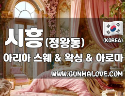 시흥 정왕동 [아리아] 이미지
