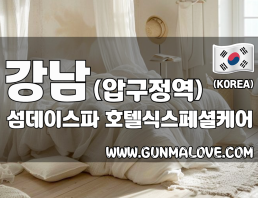 강남 압구정역 [섬데이스파] 이미지