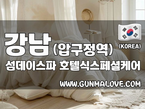 강남 압구정역 [섬데이스파] 이미지