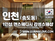 인천 송도동 1인샵 [앤스웨디시] 이미지