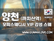 양천 까치산역 [모찌스웨디시] 이미지