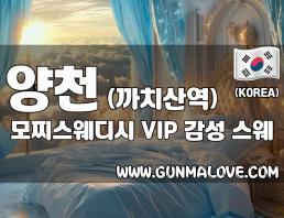 양천 까치산역 [모찌스웨디시] 이미지