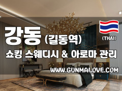 강동 길동역 [쇼킹스웨디시] 이미지