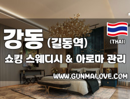 강동 길동역 [쇼킹스웨디시] 이미지
